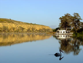 Cliffs along the Murray River, near Younghusband, South Australia, with a houseboat on the right and an Australian pelican in the foreground
