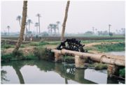 A double waterwheel lifting water for irrigation at the Fayûm oasis, Egypt.