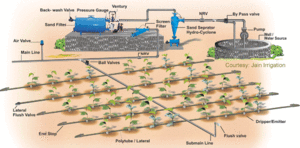 Drip Irrigation Layout and its parts