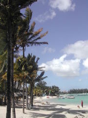 A beach from Mauritius.