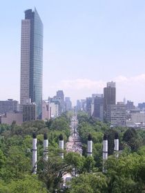 The Torre Mayor, seen from the Chapultepec Castle