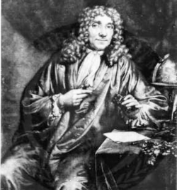 Anton van Leeuwenhoek, the first person to observe bacteria using a microscope.