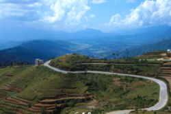 Terraced farming on the foothills of the Himalayas