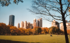 Central Park is often referred to as the "lungs of New York."