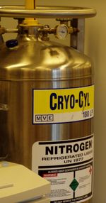 A tank of liquid nitrogen, used to supply a cryogenic freezer (for storing laboratory samples at a temperature of about -150 Celsius).