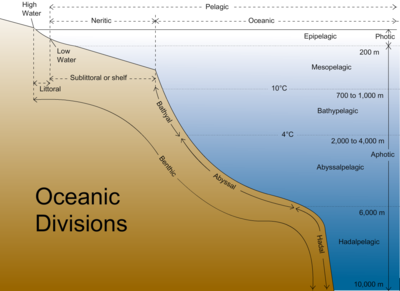 The major oceanic divisions