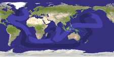 Thermohaline circulation