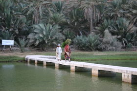 Wadi Shab